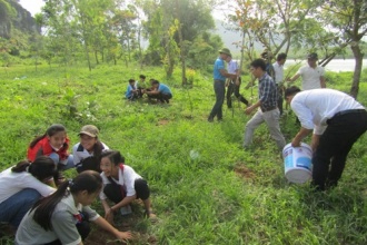 Vườn quốc gia Phong Nha – Kẻ Bàng:  Nâng cao nhận thức bảo tồn qua hoạt động trồng cây bản địa tại các trường học thuộc vùng đệm